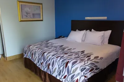Photo 4 - Budget Inn Alexandria