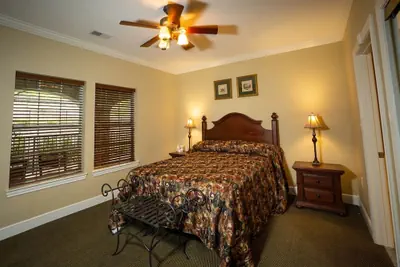 Photo 5 - Branson's Great Rock Retreat