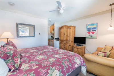 Photo 3 - Mountainside Inn 121 1 Bedroom Hotel Room by Alpine Lodging Telluride
