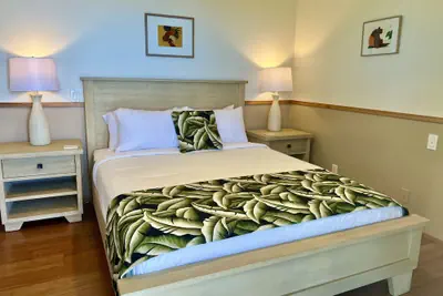 Photo 5 - Mango Sunset Bed and Breakfast
