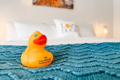 Photo 2 - The Lazy Duck Inn