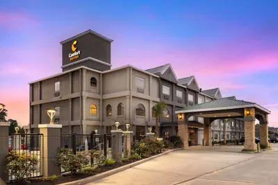 Photo 2 - Comfort Suites Shenandoah-The Woodlands