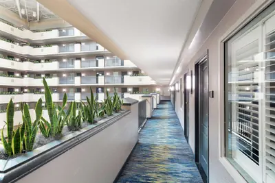Photo 4 - Embassy Suites by Hilton Orlando Airport