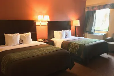 Photo 2 - Comfort Inn Mission - McAllen West