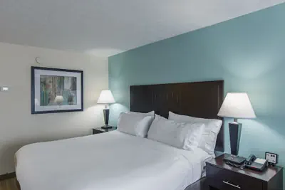 Photo 5 - Holiday Inn Express Dandridge by IHG