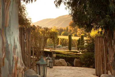 Photo 2 - Bernardus Lodge & Spa