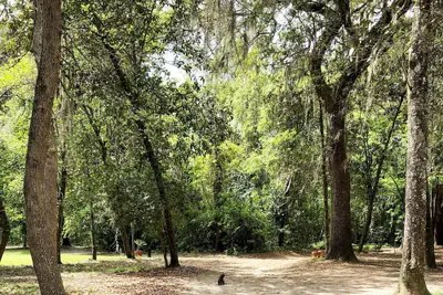 Photo 3 - The Inn At Middleton Place