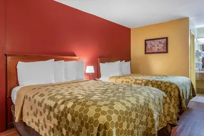 Photo 5 - Econo Lodge Inn & Suites Maingate Central