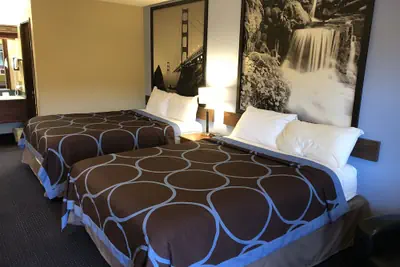 Photo 4 - Super 8 by Wyndham Albany/Corvallis
