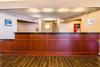 Photo 5 - Comfort Inn Concord South End