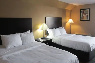 Photo 3 - Quality Inn & Suites Cincinnati Uptown Norwood