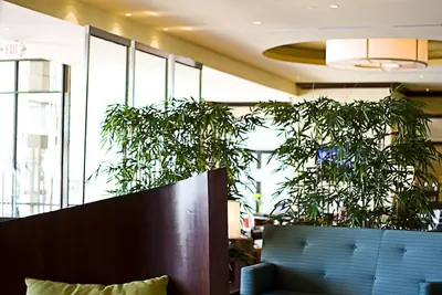 Photo 5 - DoubleTree by Hilton Atlanta - Northlake