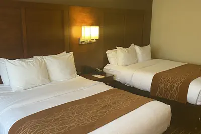 Photo 4 - Comfort Inn Springfield