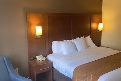 Photo 3 - Comfort Inn Springfield