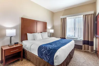 Photo 5 - Comfort Suites Near Denver Downtown
