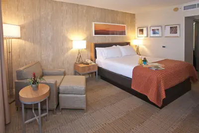Photo 4 - Holiday Inn Express San Francisco Airport South by IHG