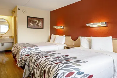 Photo 4 - Red Roof Inn Florence - Civic Center