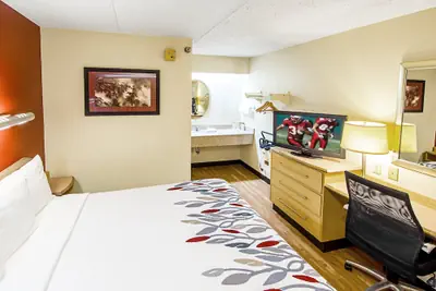 Photo 5 - Red Roof Inn Florence - Civic Center