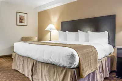 Photo 2 - Quality Inn & Suites Coliseum