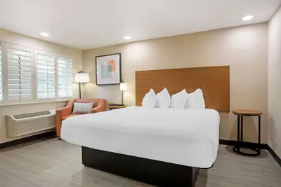 Photo 5 - Best Western Shadow Inn