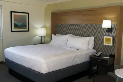 Photo 5 - Holiday Inn Binghamton Downtown by IHG