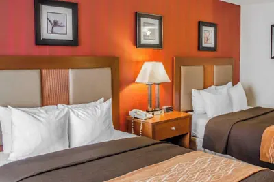 Photo 5 - Hotel Hanna