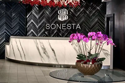 Photo 5 - Sonesta Philadelphia Rittenhouse Square
