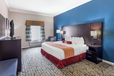 Photo 2 - Best Western Spring Hill Inn & Suites