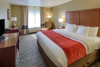 Photo 2 - Comfort Inn Brunswick