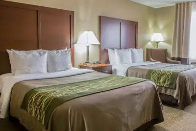 Photo 2 - Comfort Inn Morris I-80