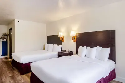 Photo 4 - Americas Best Value Inn & Suites Ft. Collins E at I-25