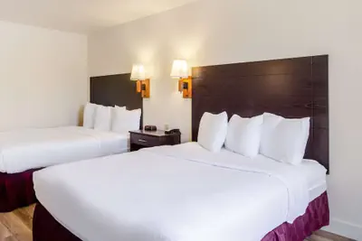 Photo 5 - Americas Best Value Inn & Suites Ft. Collins E at I-25
