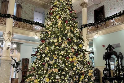 Photo 4 - Menger Hotel