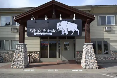 Photo 2 - White Buffalo