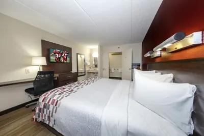 Photo 5 - Red Roof Inn Tampa - Brandon