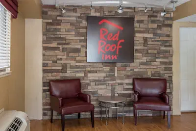 Photo 3 - Red Roof Inn Tampa - Brandon