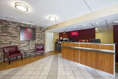 Photo 4 - Red Roof Inn Tampa - Brandon