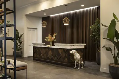 Photo 2 - The Steward, Santa Barbara, a Tribute Portfolio Hotel