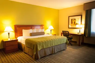 Photo 5 - Best Western Plus Miami-Doral/Dolphin Mall