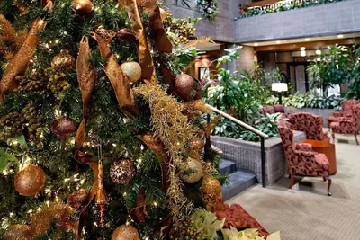 Photo 3 - Radisson Hotel Corning
