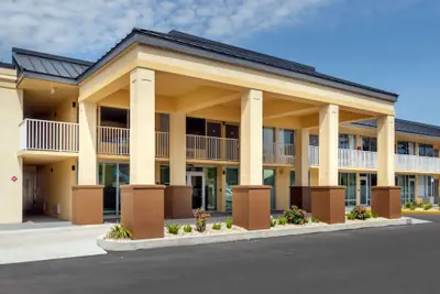 Photo 2 - Quality Inn Saint Petersburg North-Tampa Bay