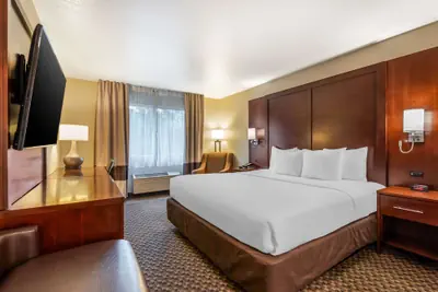 Photo 3 - Comfort Inn Fairfield Napa Valley Area