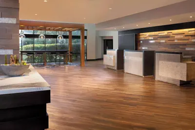 Photo 3 - Marriott Raleigh Durham Research Triangle Park