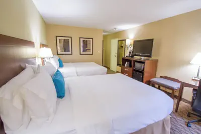 Photo 5 - Holiday Inn Bloomington Airport South Mall Area by IHG