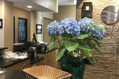 Photo 5 - Comfort Inn Ellsworth - Bar Harbor