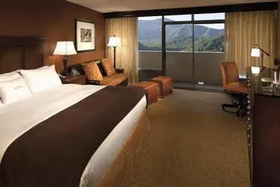 Photo 5 - The Park Vista - a DoubleTree by Hilton Hotel - Gatlinburg