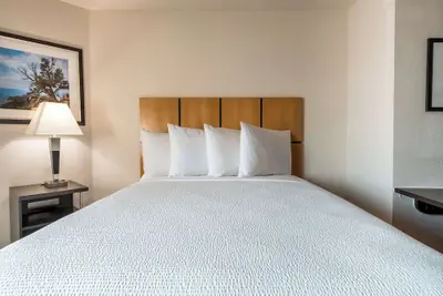 Photo 3 - Sonesta Simply Suites Fort Worth
