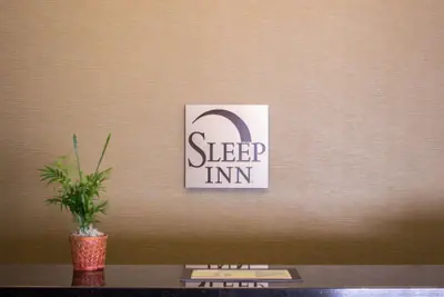 Photo 3 - Sleep Inn Wilson near I-95