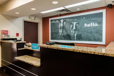 Photo 3 - Hampton Inn Dickson