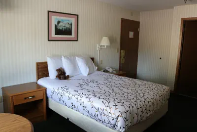 Photo 5 - Roosevelt Inn Mount Rushmore